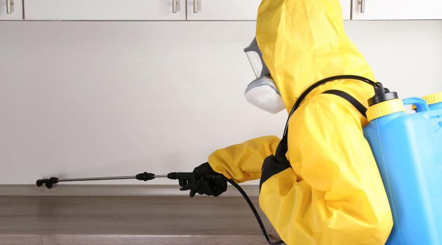 Professional pest control services in Mordialloc, Melbourne